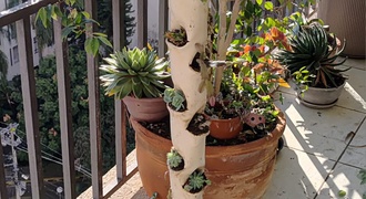 Mini-Horta Vertical com Irrigação não-Automática