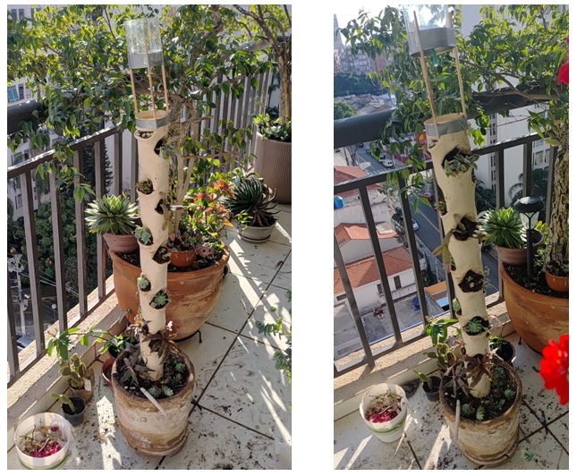 Plante as mudas!!  Sugestão: suculentas, flor de maio, ... Na base pode ter alguma planta de maior porte.