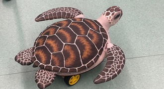 Robô Monitorador de biomas: Tartaruga Marinha