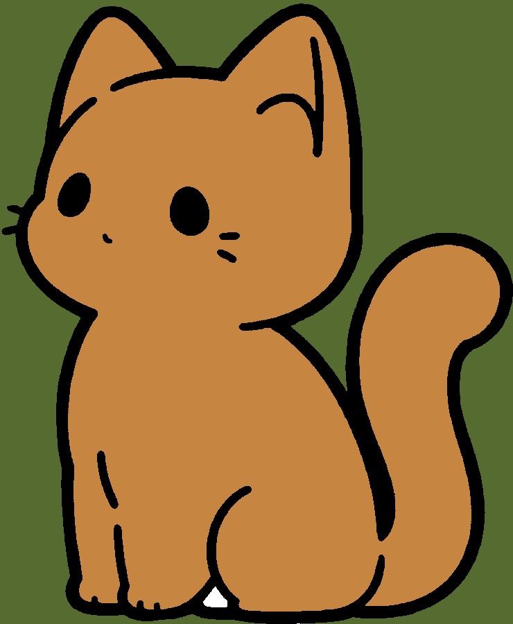 Cole fita por cima pra proteger e dar brilho