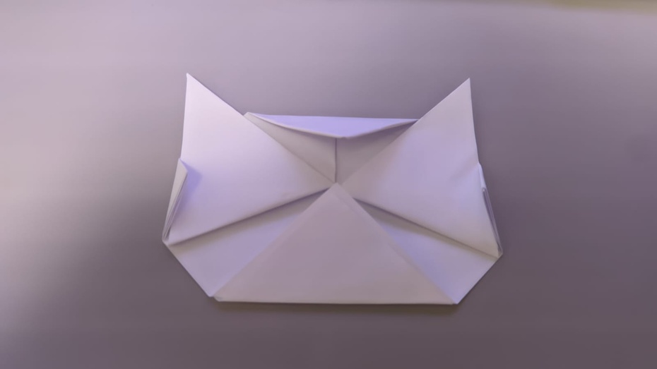 Pegue as partes que sobrou e dobre elas para dentro (fazendo parecer um retângulo). Depois vire para ver a frente da cabeça