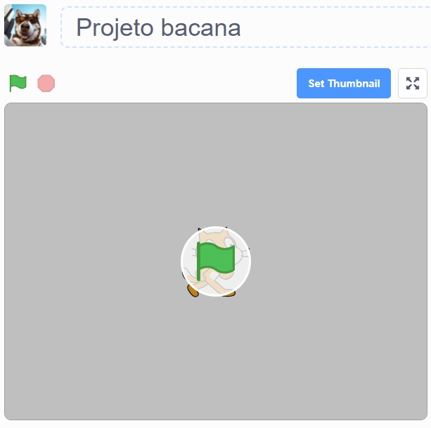 apesar de ter um botão de thumbnail, nele há um problema, não aparece quando entramos no projeto