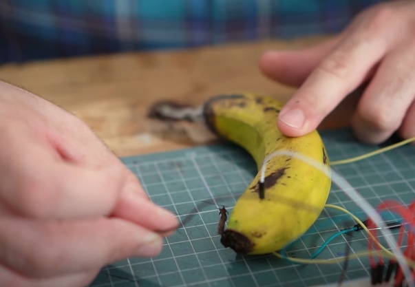 As bananas não devem entrar em contato entre si, deixe elas levemente espalhadas.