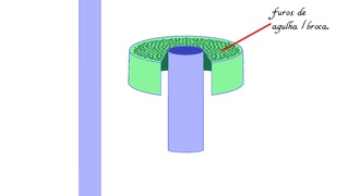 Tampa Adaptativa Para Regador De Garrafa Descartável