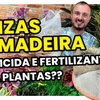 CINZA DE MADEIRA NA AGRICULTURA