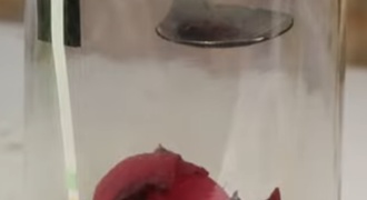 Chuva ácida caseira