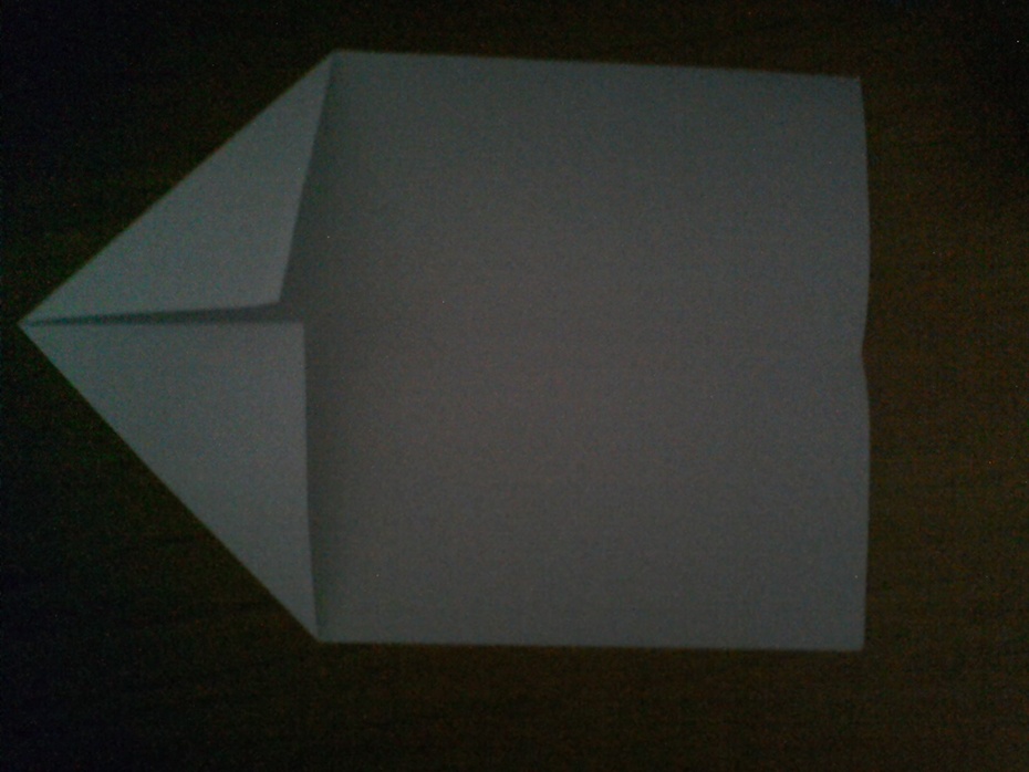 Pegue as pontas do papel, e dobre para que chegue à linha demarcada. Faça isso em cima e em baixo do lado que você escolheu.