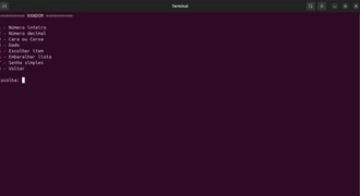 Script sorteador