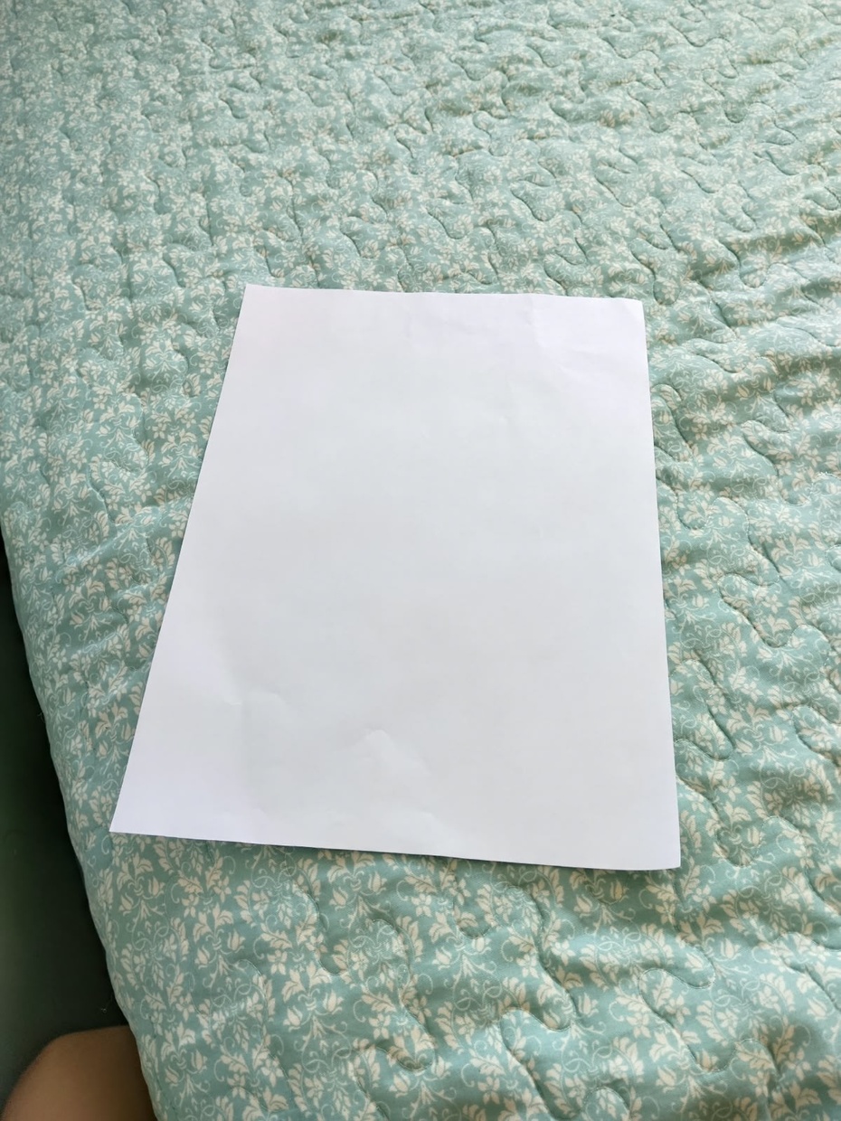 Pegue uma folha de papel A4.