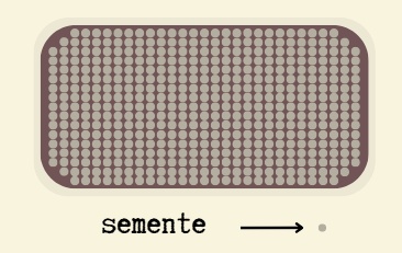 Espalhe as sementes generosamente por todo o substrato.