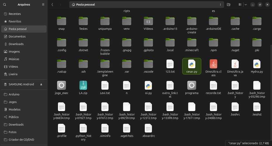 Coloque-o na pasta pessoal (home)