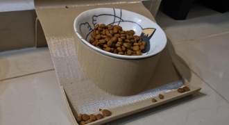 Suporte Para Prato de Ração Com Coletor de Pedaços