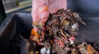 Minhocasa (minhocário) com baldes plásticos