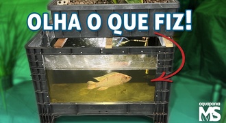 Aquário/Aquaponia com Caixas Organizadoras