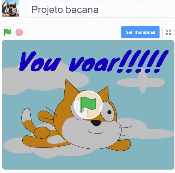 Vai dar certo! (não esquece de colocar também a thumbnail naquele botão)